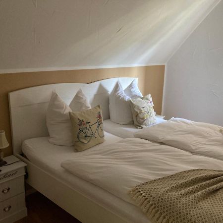 Guest House Dommitzsch Zewnętrze zdjęcie